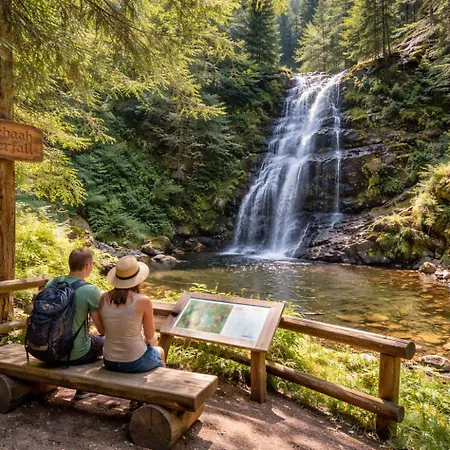 Gemuetliches Bergapartment Mit Hallenbad & Aussicht Apartment